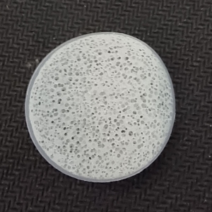 GIÁ THỂ VI SINH BIOCHIPVN