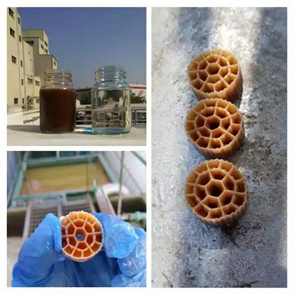 CÔNG TRÌNH THỰC TẾ 11